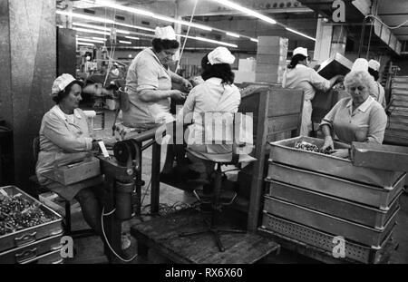 Une usine de chocolat du groupe Coop le 9 juillet 1974 à Dortmund. Dans le monde d'utilisation | Banque D'Images