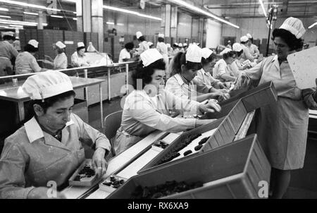 Une usine de chocolat du groupe Coop le 9 juillet 1974 à Dortmund. Dans le monde d'utilisation | Banque D'Images