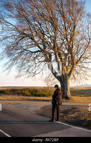 un photographe masculin vêtu d'un costume se tient à regarder son téléphone sur une route avec un grand arbre en arrière-plan Banque D'Images