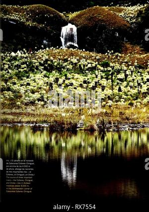 L'Équateur Cabeceras Cofanes-Chingual (2009) Banque D'Images