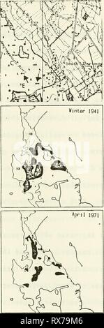 Dans la zostère Buzzards Bay dans la zostère Buzzards Bay : distributation, la production et l'évolution de l'abondance historique eelgrassinbuzzar Année : 1988 coût0078 Banque D'Images