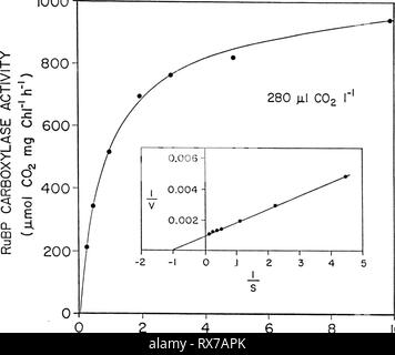 Effets du dioxyde de carbone sur les effets du dioxyde de carbone sur la physiologie et la biochimie de la photosynthèse dans effectsofcarbond soja00camp Année : 1986 97 1000 46 HC03' (mM) 10 Banque D'Images