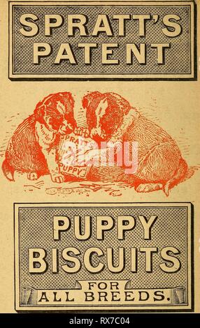 L'élevage de volailles et d'oeufs à l'élevage de volailles et d'oeufs à la maison eggpoultryraisin00elki Année : 1902 SPRATT'S PATENT, LIMITED, 24 & 25 ;, Fenchurch Street, Londres, EX. Banque D'Images