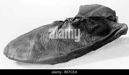 Shoe (TOE). L'Angleterre. Date : 1501-1600. Dimensions : 20 × 9 × 8 cm (7 7/8 x 3 1/2 x 3 1/8 in.). Le cuir. Origine : Angleterre. Musée : le Chicago Art Institute. Banque D'Images