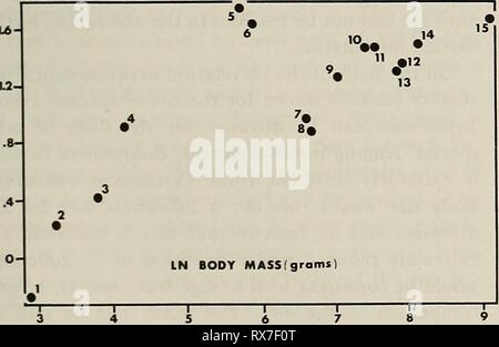 L'écologie des folivores arboricole Banque D'Images