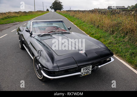 1966 Chevrolet Corvette Stingray cabriolet en stationnement sur un chemin de campagne Banque D'Images