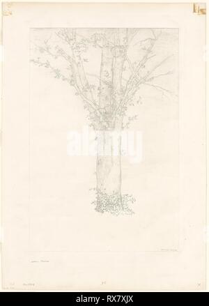 Arbre généalogique. Odilon Redon ; français, 1840-1916. Date : 1892. Dimensions : 401 × 319 mm (image) ; 476 × 320 mm (Chine) ; 613 × 431 mm (feuille). Lithographie sur papier crème Chine, prévue avec chine collé sur papier vélin ivoire. Origine : France. Musée : le Chicago Art Institute. Banque D'Images