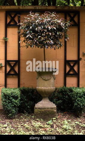 Jardin de Pierre POT URNE EN FACE DE MUR ENTOURÉ DE haie. NEW SOUTH WALES, AUSTRALIE Banque D'Images