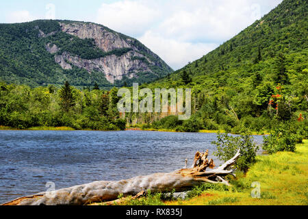 Crawford notch lac et montagnes Banque D'Images