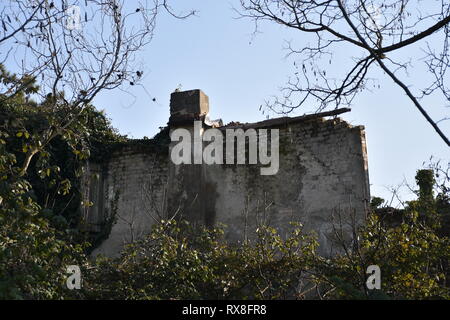 Belvedere, Grado, Trieste, Udine, Italie, Dorf, Siedlung, Festland, Verlassen, vergessen, taverne, Schule, verfallen, ruine, and Crew, monarchie, Banque D'Images