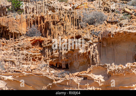 Les récifs coralliens des sédiments pétrifiés structures en pierre dans le parc national de Kalbarri Australie Banque D'Images