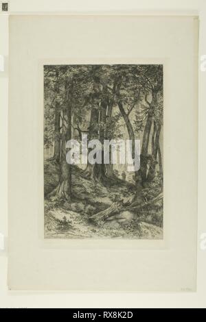 Une forêt de Californie. Mary Nimmo (Américain, 1842-1899) ; Thomas Moran (Américain, né en Angleterre, 1837-1926). Date : 1888. Dimensions : 297 x 203 mm (image) ; 325 x 223 mm (plaque) ; 469 x 322 mm (feuille). Eau-forte et roulette sur le papier. Origine : Etats Unis. Musée : le Chicago Art Institute. Banque D'Images