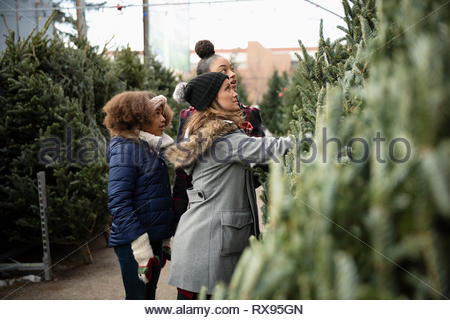 Family shopping pour arbre de Noël Marché de Noël