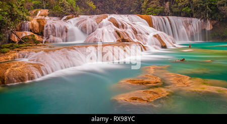 Agua Azul cascade de cascades panorama dans la forêt tropicale de l'état de Chiapas, Palenque, Mexique. Banque D'Images