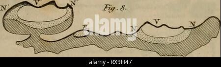 Edinburgh journal of science (1826) Banque D'Images