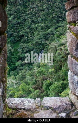 Portrait d'arbres poussant sur la montagne vue à travers la fenêtre vieille ruine Banque D'Images