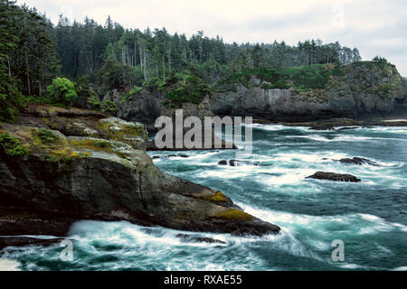 Cap Flattery, Pacific Northwest, Washington State, USA Banque D'Images