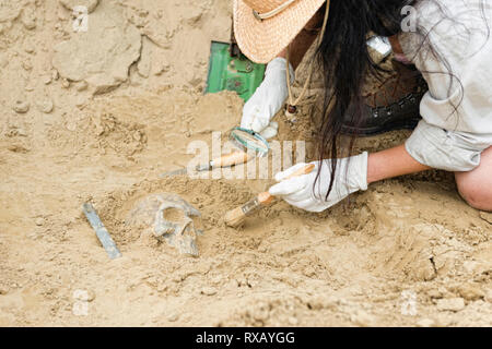 Un crâne d'excavation archéologue Banque D'Images