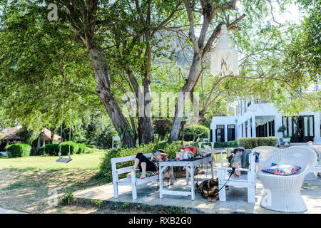 Happy senior couple relaxing avec un chien dans le jardin Banque D'Images