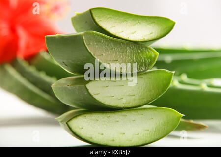 Les feuilles d'aloe vera bio tranches sur fond blanc. Banque D'Images