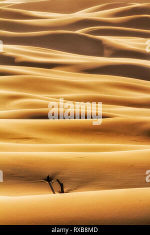 Les vagues sans fin des dunes de sable de masses dans la zone déserte de Stockton Beach dans Worimi Parc national sur la côte du Pacifique de l'Australie - résumé vertical fragment. Banque D'Images