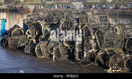 Des casiers à homard, empilés sur le quai du port de Newlyn, Cornwall, England, UK. Banque D'Images