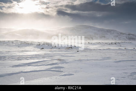 L'hiver en Islande, Europe Banque D'Images