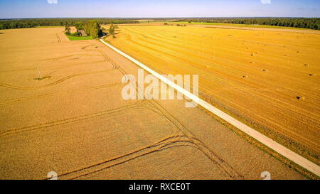 Très large et grand champs de céréales et de foin. Il y a une route entre les deux champs de l'autre côté du champ de foin a roulé sur le g Banque D'Images