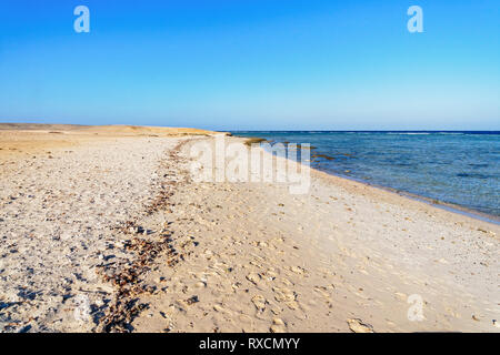 Les vacanciers sur une large plage de sable ,, sur les rives de la Mer Rouge à Marsa Alam, Egypte. Banque D'Images