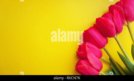 Heureux 8 mars Journée des femmes. Concept de printemps. Tulipe rose sur fond jaune. Copy space Banque D'Images