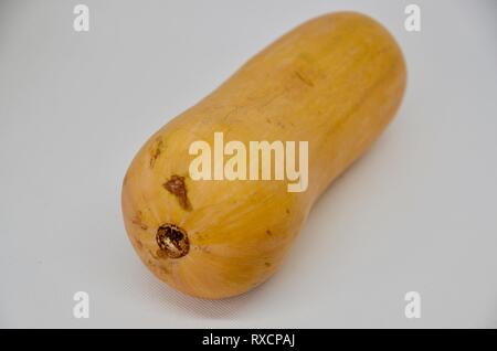 Une courge sur fond blanc Banque D'Images
