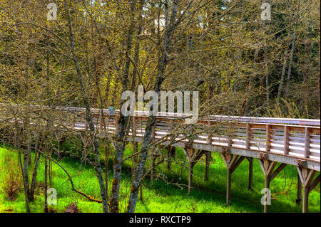 Partie d'un sentier de randonnée nature dans les zones humides de la ville de Hillsboro, Oregon Banque D'Images