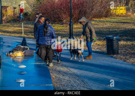 Deux chiens apprennent à se connaître dans la région de Prospect Park, Brooklyn New York Printemps 2019 Banque D'Images