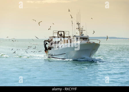 L'entrée dans le port, bateau de pêche dans la soirée, Le Grau du Roi, camargue, france Banque D'Images