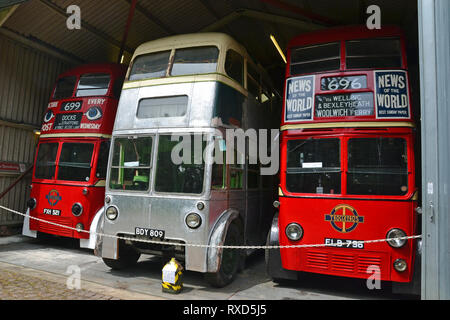 Trois trolleybus dans un garage ou une remise, à l'East Anglia Transport Museum, Carlton Colville, Lowestoft, Suffolk, UK Banque D'Images