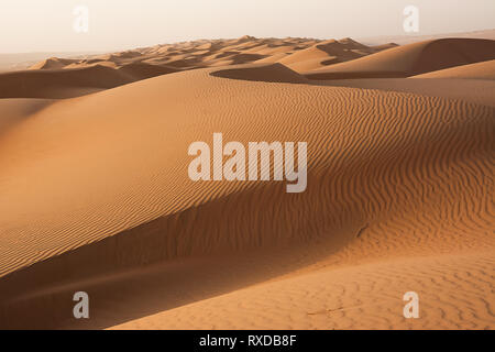 Les dunes de Wahiba désert de sable à l'aube (Oman) Banque D'Images