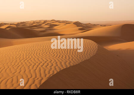 Les dunes de Wahiba désert de sable à l'aube (Oman) Banque D'Images