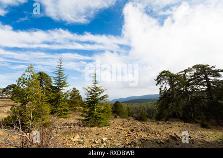 Belle mont Olympe pendant le trekking. Dans les montagnes de Troodos paysage prises sur l'île de Chypre. Banque D'Images