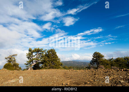 Belle mont Olympe pendant le trekking. Dans les montagnes de Troodos paysage prises sur l'île de Chypre. Banque D'Images