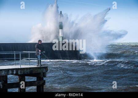 Aberystwyth, Pays de Galles, Royaume-Uni. 9 Mar 2019. Météo France : des coups de vent avec rafales à plus de 60 mi/h et le matin de la moissonneuse-batteuse de la marée haute, portant d'énormes vagues déferle sur la mer d'Irlande à la mer la pâte à Aberystwyth, sur la défense de la côte de la Baie de Cardigan, West Wales UK Crédit : Keith morris/Alamy Live News Banque D'Images