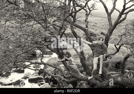 Deux enfants se tenant dans les branches d'un arbre par l'ouest de la rivière Dart à Dartmoor, dans le Devon, Royaume-Uni. Film en noir et blanc photographie, vers 1994. Parution du modèle Banque D'Images