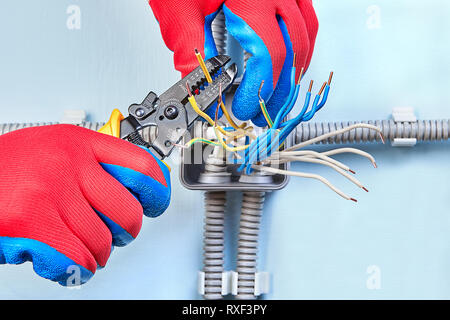 Électricien dans gants de protection est un câble en cuivre de coupe de la grille d'alimentation avec l'aide de pince à dénuder. Banque D'Images