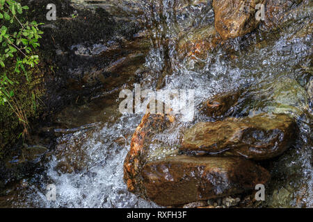 Sur les rochers dans l'eau tumbling petit ruisseau Banque D'Images