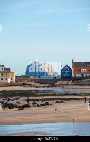 À la plage de North Berwick à Bass Rock Ecosse Banque D'Images