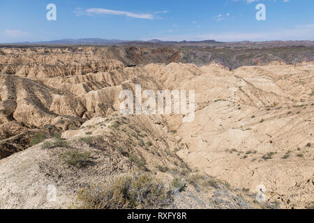 Zhabyr jaune dans le Canyon du parc national dans le Canyon Auezov région du Kazakhstan Almaty Banque D'Images