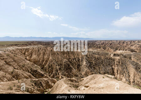 Zhabyr jaune dans le Canyon du parc national dans le Canyon Auezov région du Kazakhstan Almaty Banque D'Images