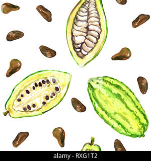 Cacaoyer (theobroma) fèves mûres, tranchées bean, un pattern design, illustration aquarelle peinte à la main, fond blanc Banque D'Images