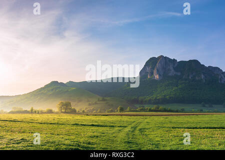 La campagne de printemps de la Roumanie au lever du soleil. de beaux paysages avec des arbres sur les champs. immense falaise rocheuse au-dessus de la colline boisée dans la distance Banque D'Images