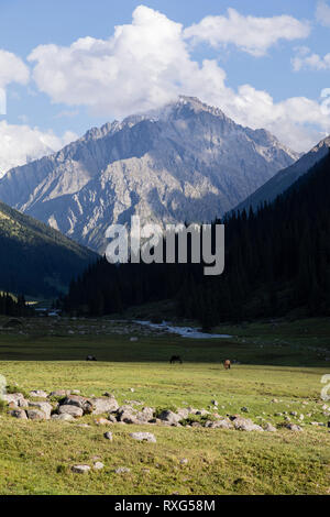 De la vallée Altyn-Arashan en fin d'après-midi avec des ombres profondes au Kirghizstan Banque D'Images