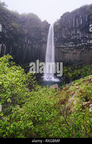 Cascade de Svartifoss (noir). Attraction touristique dans le sud-est de l'Islande. Le parc national de Skaftafell Banque D'Images